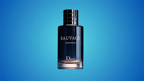 10 Melhores Perfumes Dior Masculinos para comprar em 2024